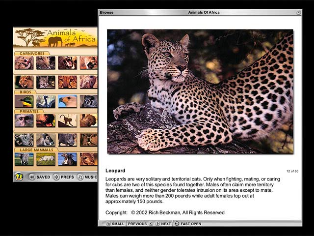 Animals of Africa Screenshot 4