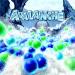 Avalanche