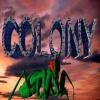 Colony