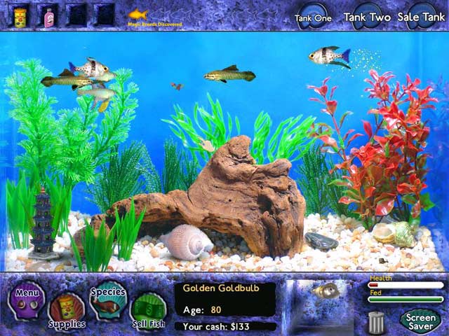 Fish Tycoon Screenshot 1